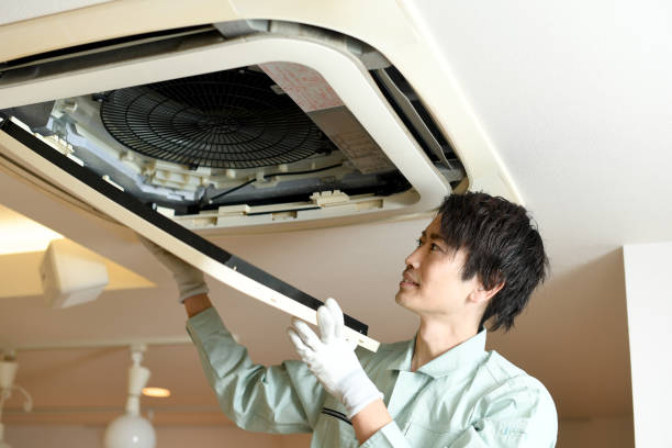 Best Ductwork Cleaning Services  in Petersburg, IN