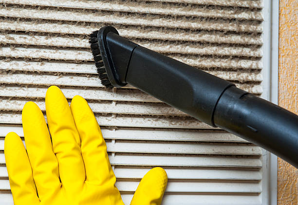 Best Duct Cleaning for Homes  in Petersburg, IN